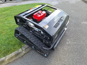 Charity-Versteigerung für Linda / Rotary Club Voitsberg-Köflach