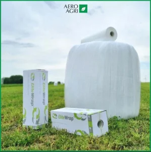 Monatsversteigerung Februar